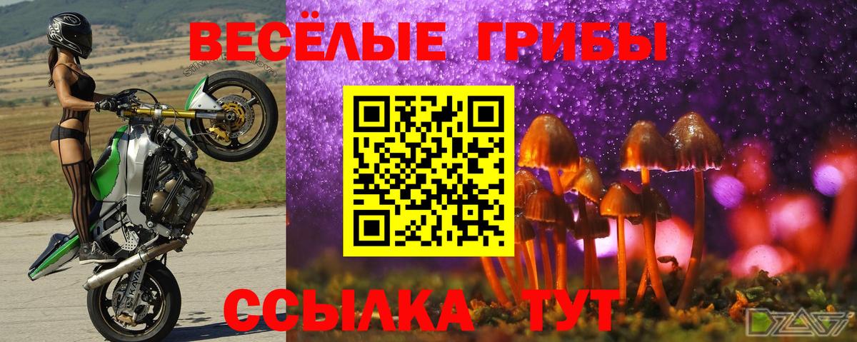 Галлюциногенные грибы Psilocybine cubensis  Вход с VPN  что такое   Миллерово 